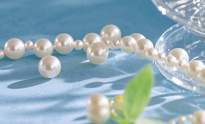 Freshwater Pearl Wholesale