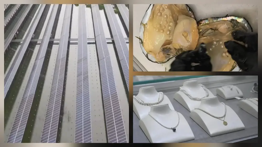 What does a pearl necklace mean? Decoding the symbolism for modern jewelry brands 1 What does a pearl necklace mean? Decoding the symbolism for modern jewelry brands