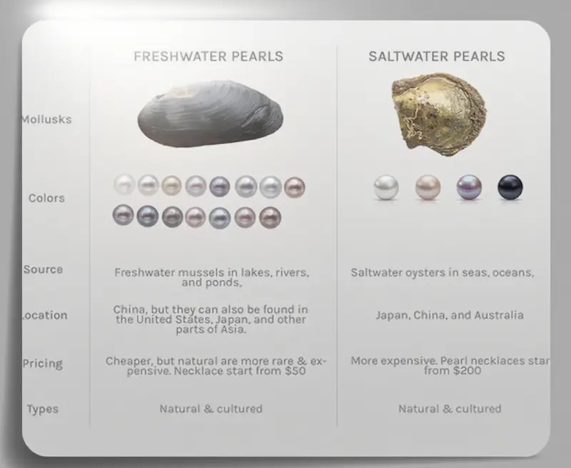 Cuáles son los diferentes tipos de perlas: 4 variedades esenciales que todo entusiasta debe conocer Perlas de agua salada vs. Perlas de agua dulce