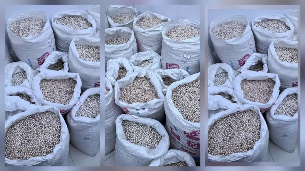 6 Crucial Benefits of Sourcing Bulk Pearls Direct from Manufacturers in 2026 1 bulk pearl direct from our manufacturing warehouse