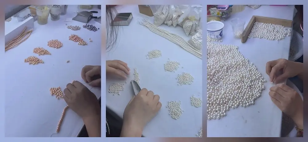 تم فرز لآلئ المياه العذبة بالجملة في المصنع