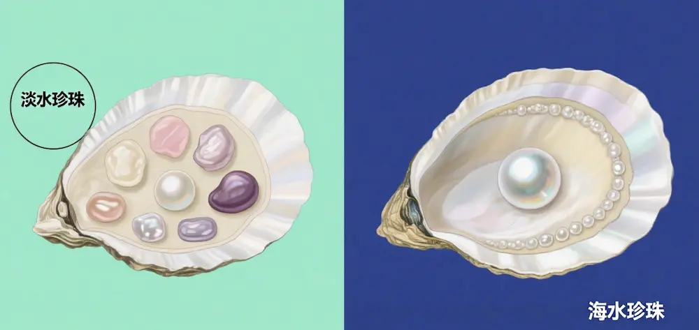 Perlas de Agua Dulce vs Perlas de Agua Salada: 7 Diferencias Asombrosas 1 Perlas de agua dulce vs perlas de agua salada: 7 diferencias sorprendentes que transformarán tu experiencia de compra de perlas