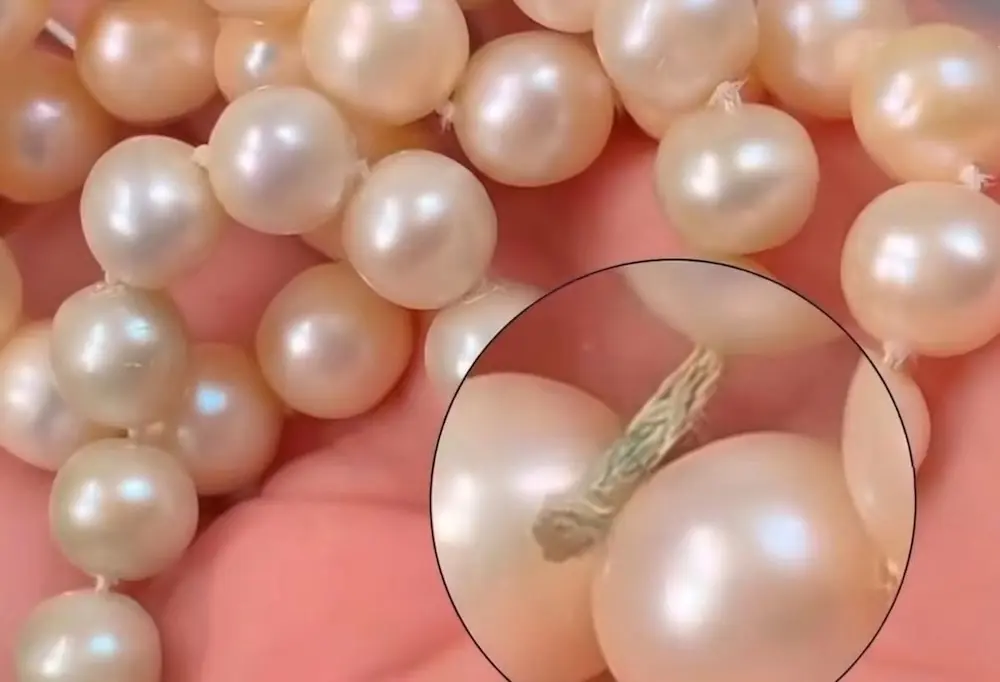 매크로 검사 진주