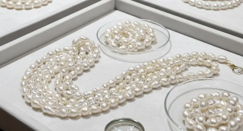 South Sea Keshi Pearls