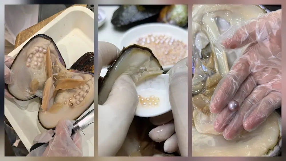 양식 담수 진주 도매: 보석 제조업체를 위한 완전한 대량 구매 가이드 1 양식 담수진주 도매: 보석 제조업체를 위한 완전한 대량 구매 가이드