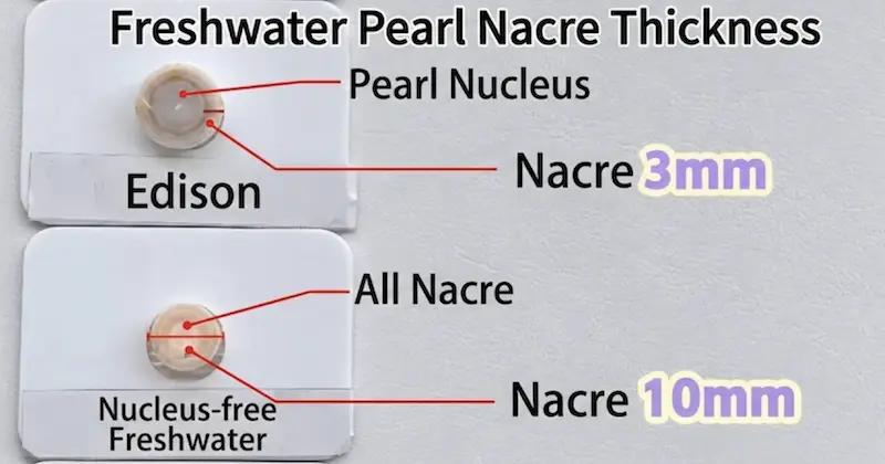The Truth About Freshwater Pearls vs. Akoya Pearls: Can You Really Tell the Difference? 8 Freshwater Pearl Nacre Thickness