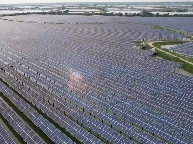 Fabricante de Perlas: Suministro Mayorista de Perlas Fabricante de Perlas: Perlas de Agua Dulce Mayorista Directamente de la Granja