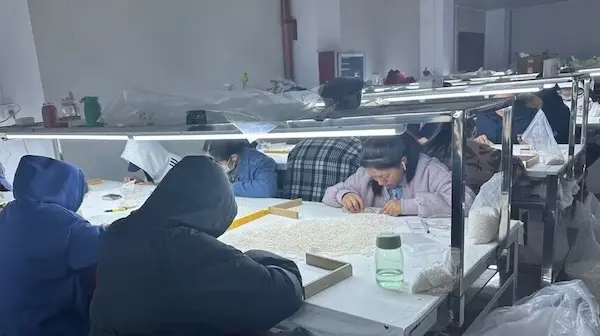 Fabricante Líder de Perlas: Suministro Mayorista de Perlas Fábrica de Perlas de Agua Dulce