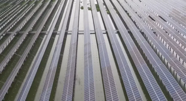 Sustainable Pearl Farming: Why Eco-Friendly Sourcing Matters to Your Customer 7 Sustainable Pearl Farming: Why Eco-Friendly Sourcing Matters to Your Customer