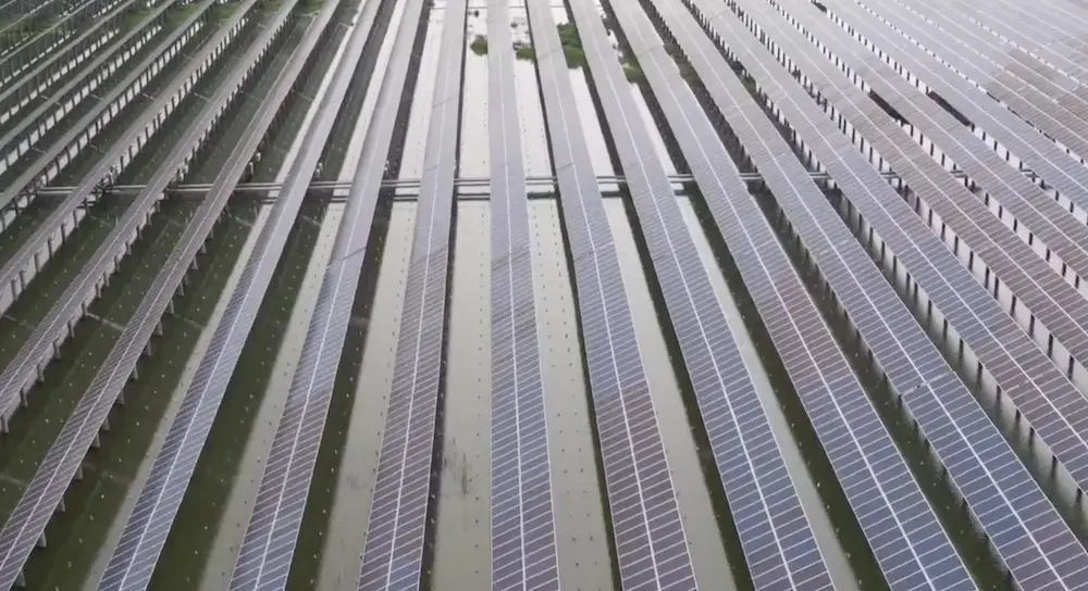 Cultivo Sostenible de Perlas: Por Qué el Abastecimiento Ecológico es Importante para Su Cliente Cultivo Sostenible de Perlas: Por Qué el Abastecimiento Ecológico es Importante para Su Cliente