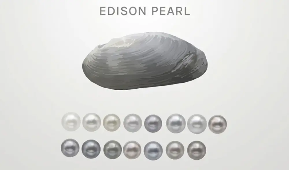 Edison Pearls vs South Sea Pearls: Why Designers Are Choosing the Affordable Alternative 4 Edison Pearls vs South Sea Pearls: Why Designers Are Choosing the Affordable Alternative