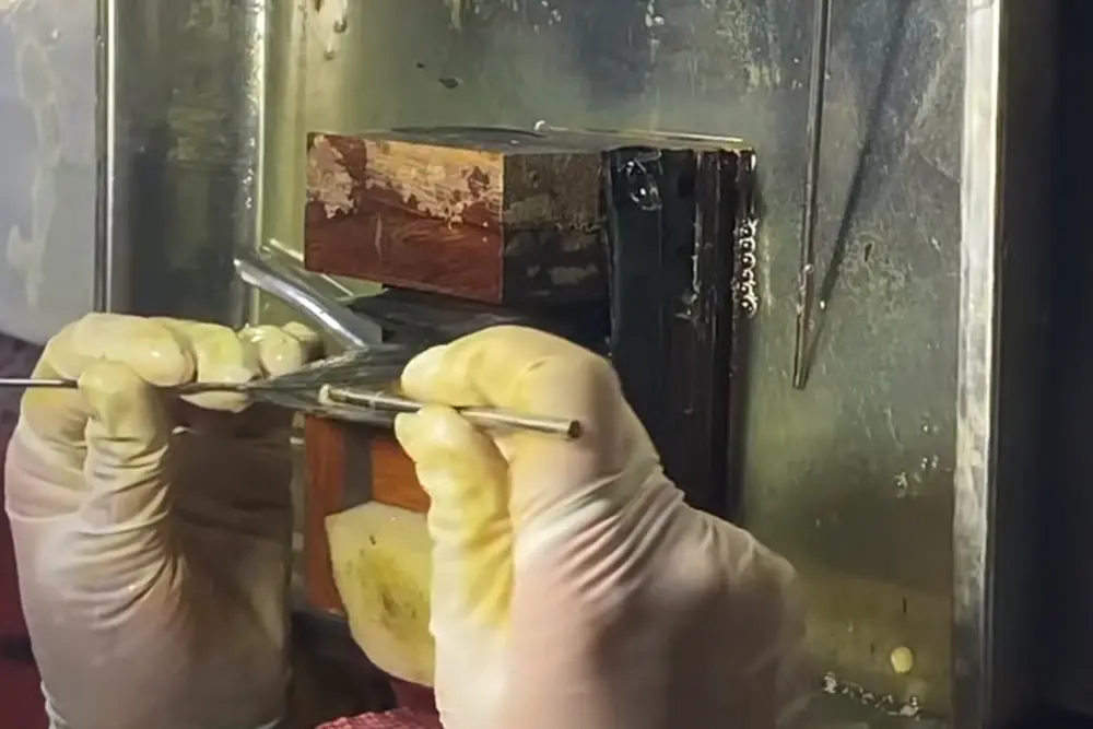 Edison Pearl Innovations 2026: Bigger, Brighter, More Sustainable Wholesale Opportunities