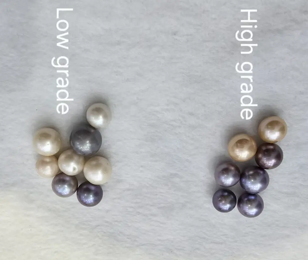 Edison Pearl Price: Why Some Cost $5 While Others Hit $50